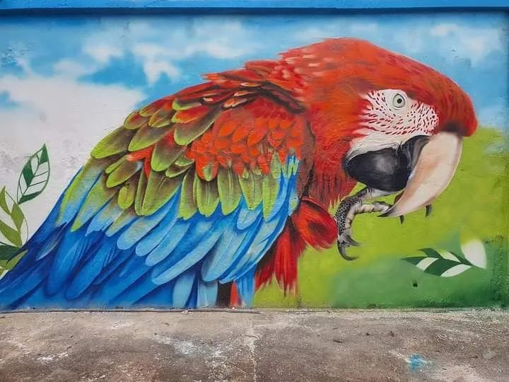 Grafite em parede  - Foto 5