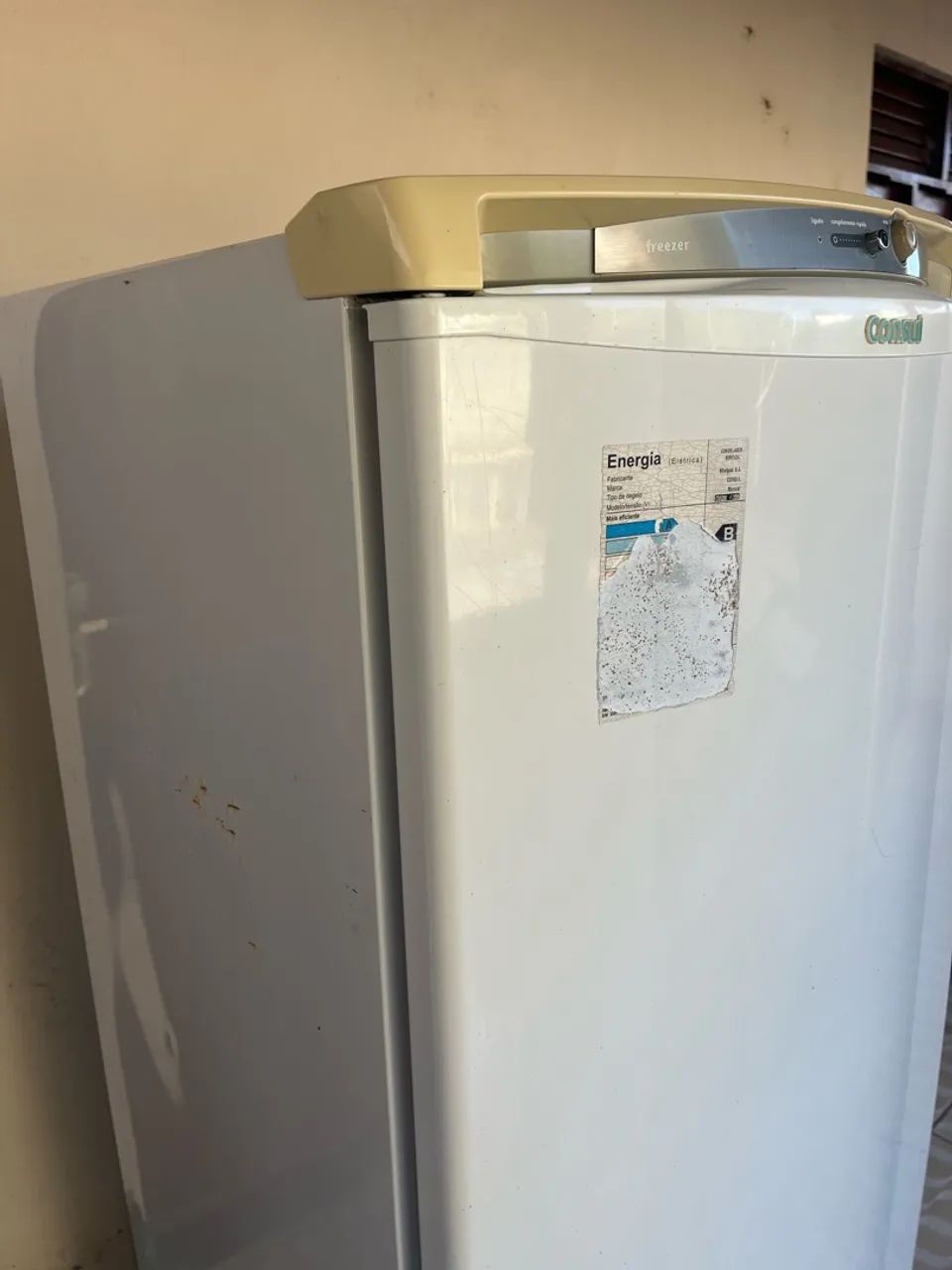 Freezer vertical consul 