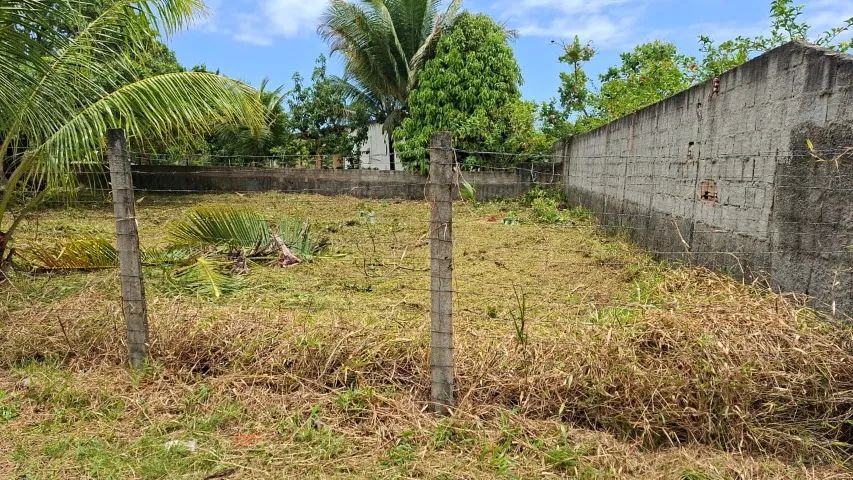 Vendo terreno em aldeia Estrada da mumbeca - Foto 2