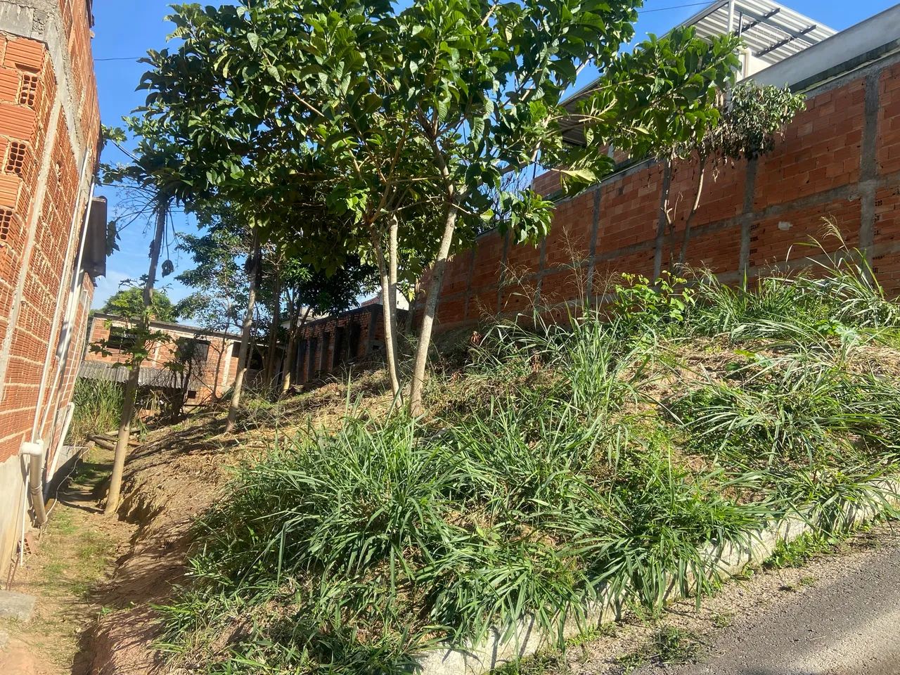 Terreno no loteamento Céu Azul - Quatis