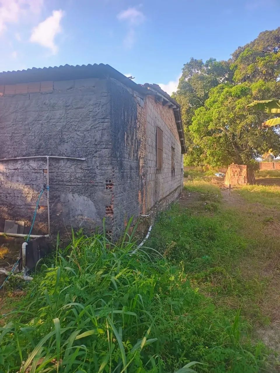 Sítio com ampla área verde, casa com 1 suíte + 2 quartos - Foto 4