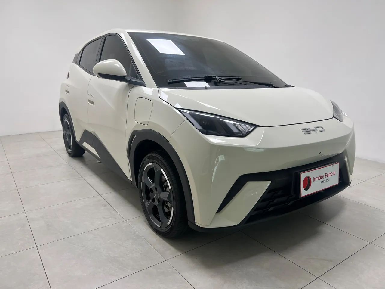 BYD Dolphin GS (Elétrico) 2025 - Foto 3