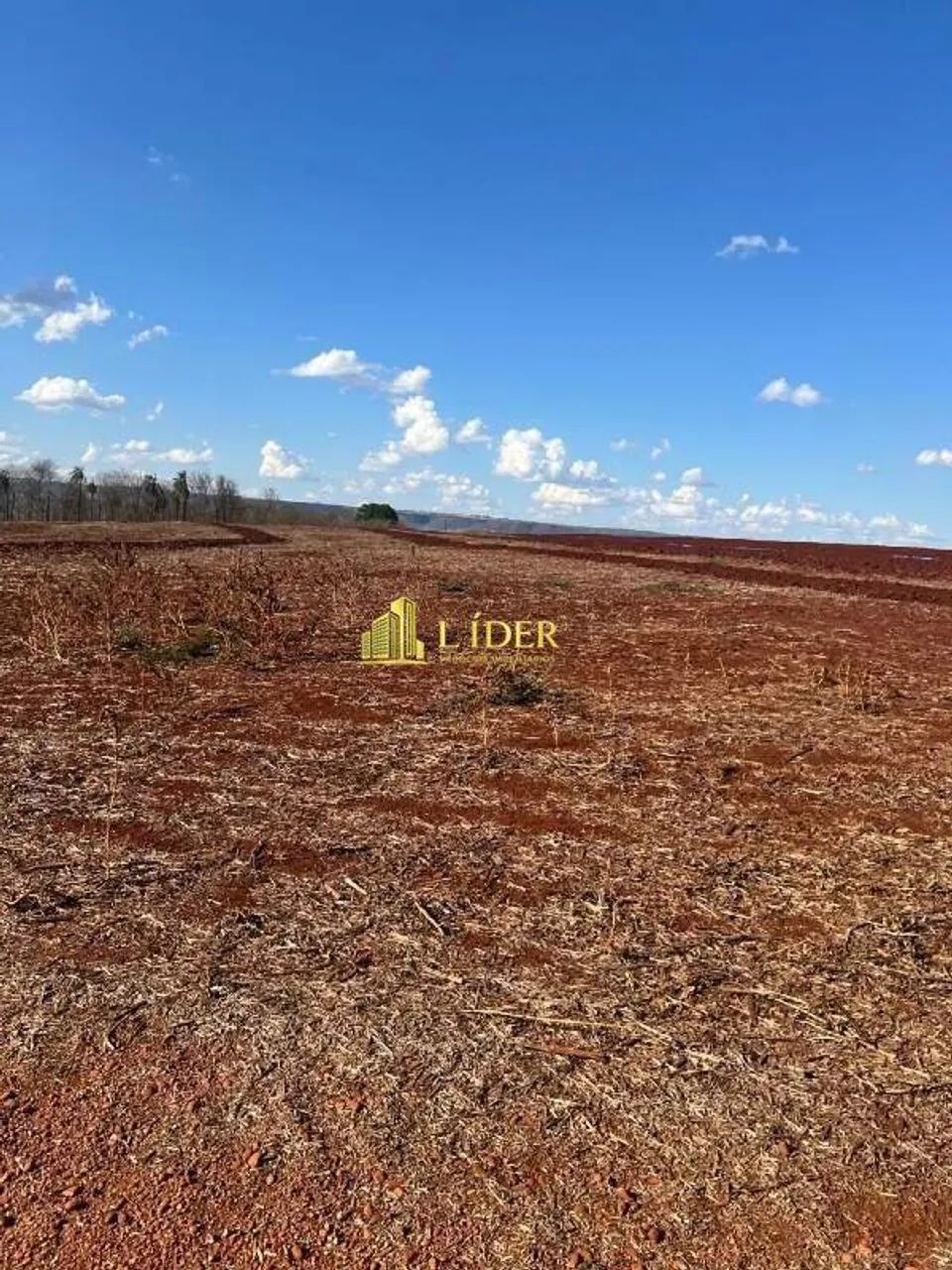 FAZENDA NA ÁREA RURAL DE MARTINÉSIA - MG - Foto 2