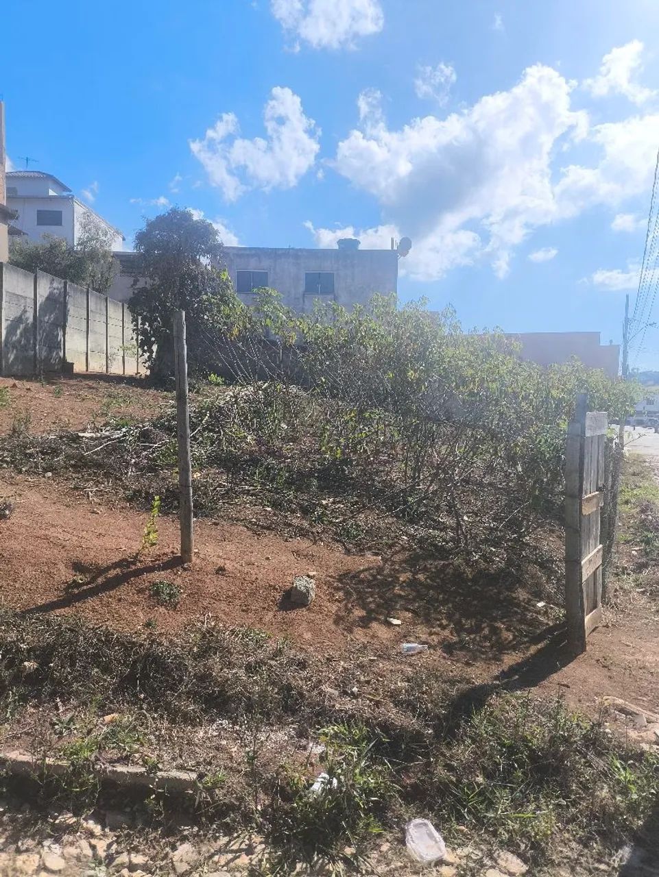 LOTE - Foto 3