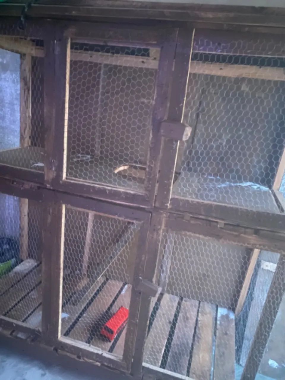 Casinha de madeira para animal de estimação  - Foto 2