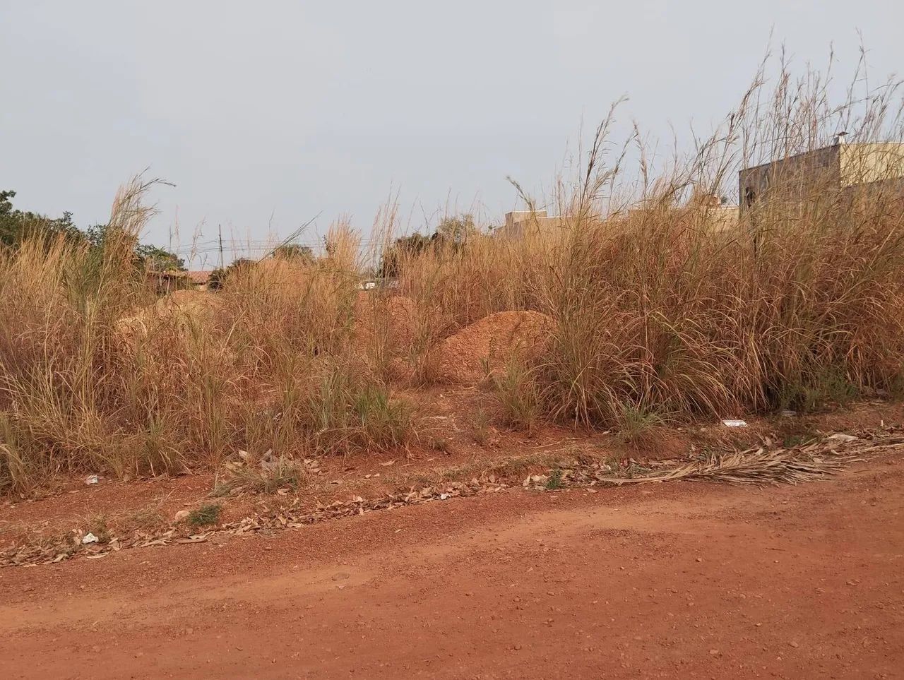 Vendo terreno com 360m2 em Santo Antonio do Leverger - Foto 3