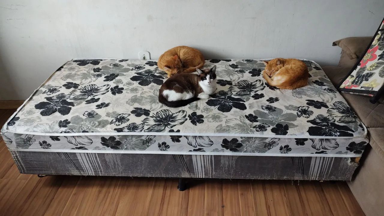 Cama box solteiro 