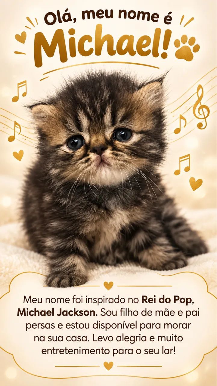 Gato persas 