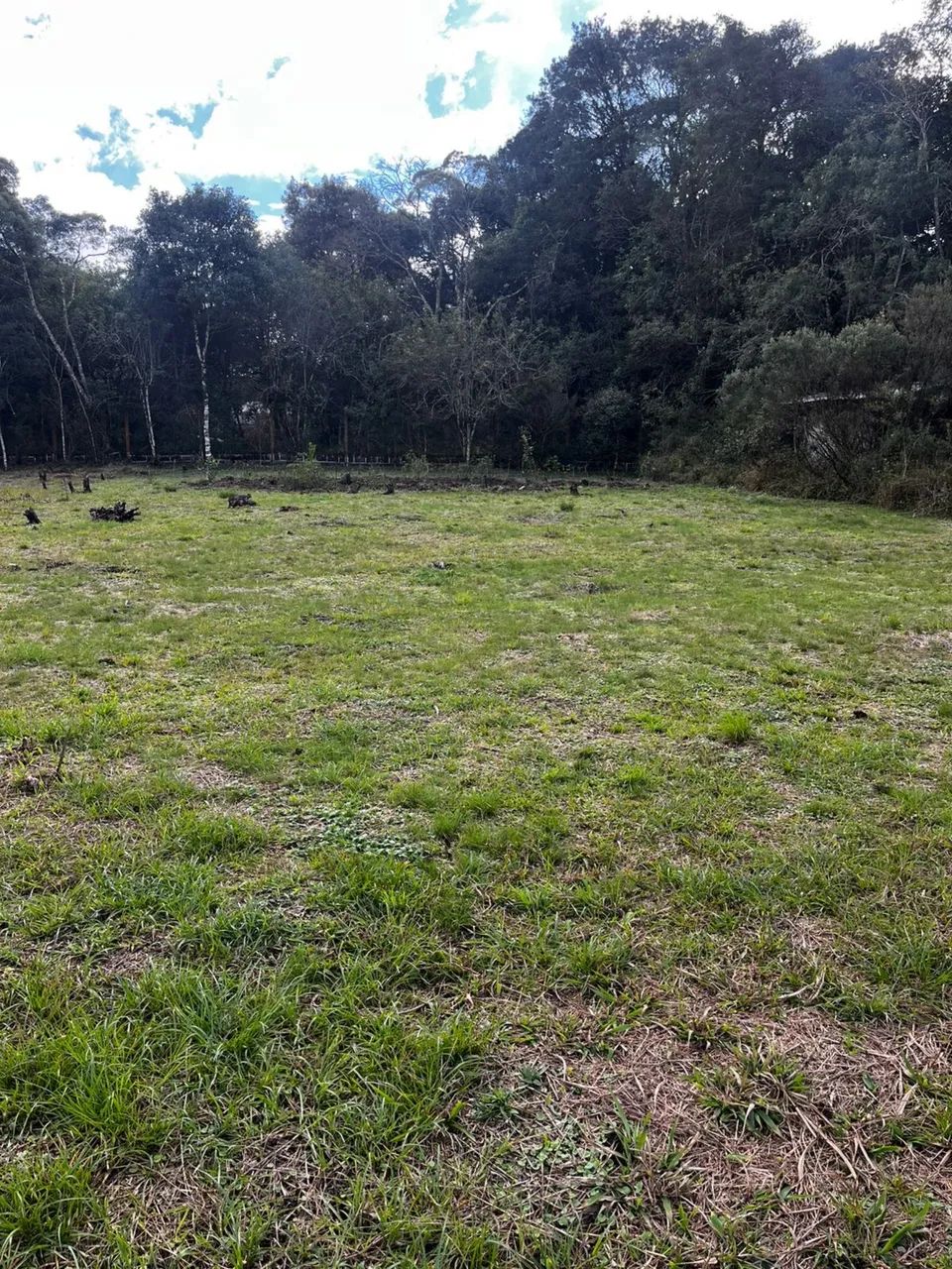 Chácara campo largo da roseira  - Foto 2