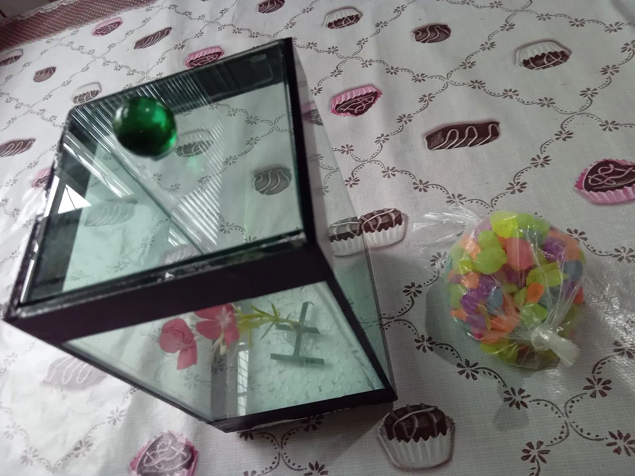 Aquário pequeno - Foto 2