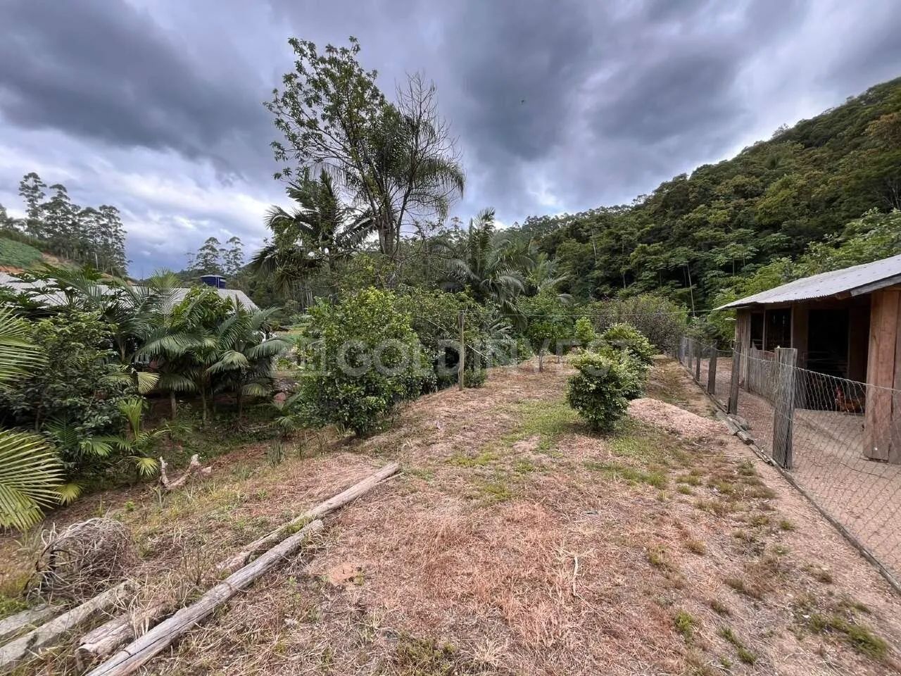 SÍTIO COM CASA DE 3 QUARTOS À VENDA EM NOVA TRENTO  BAIRRO SÃO CAETANO - Foto 5