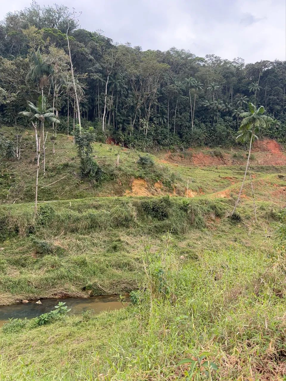 2 hectares com rio, mata preservada e vista para as montanhas | Santo Amaro da Imperatriz - Foto 5