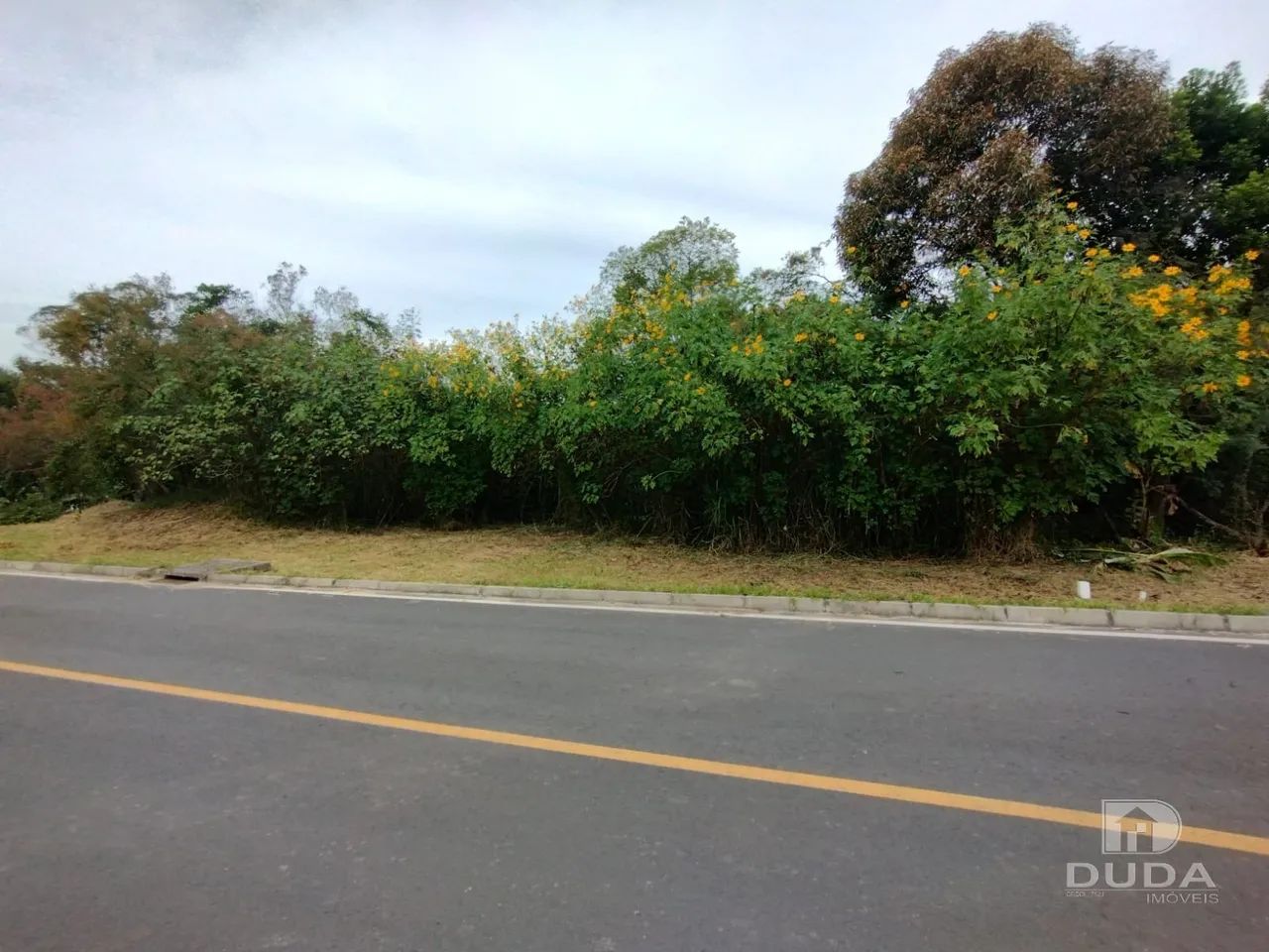 Terreno Laranjinha - Foto 2