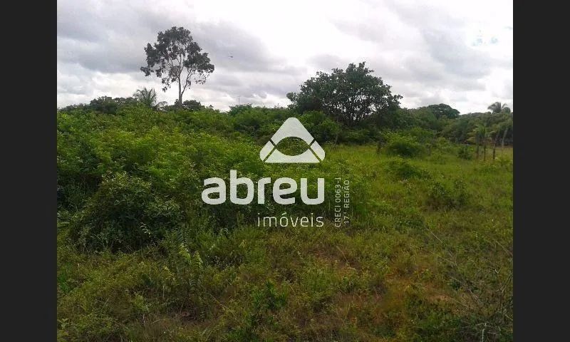 Terreno Padrão em Extremoz - Foto 4