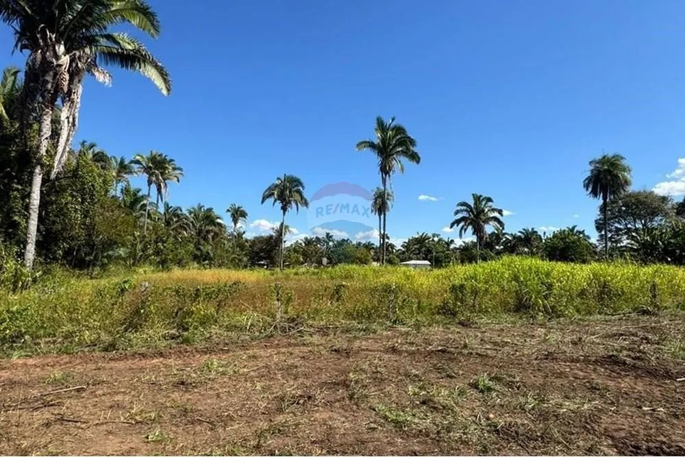 Chácara à Venda | 4.200 m² | APP | 4 km do Centro | Babaçulândia -TO - Foto 2