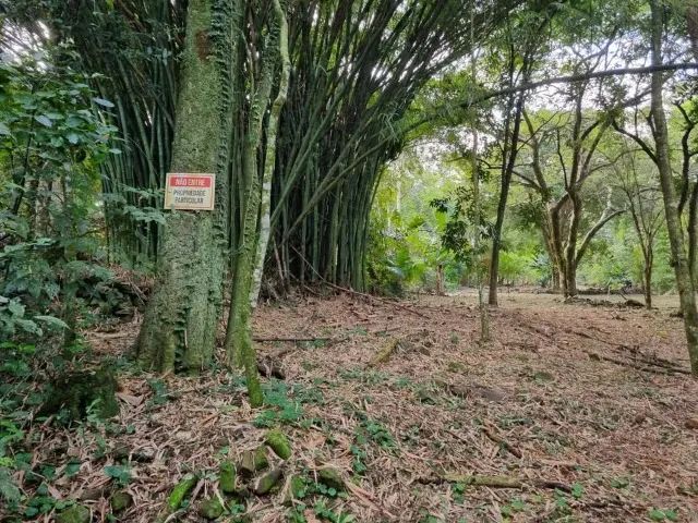 Terreno 3.009m² em Foz do Iguaçu - Foto 3