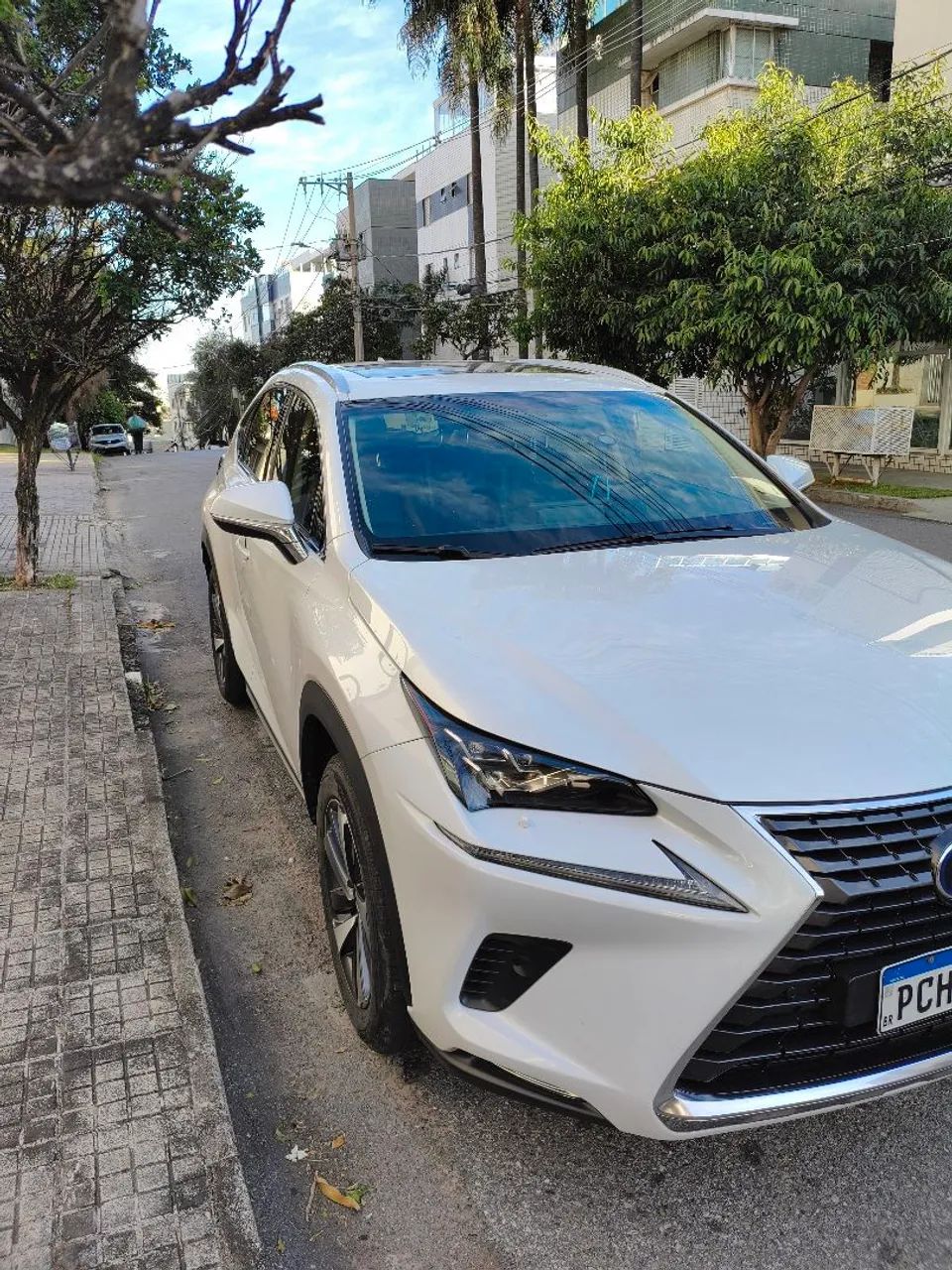 Lexus NX-300 H Luxury 2.5 16V Aut. 2019