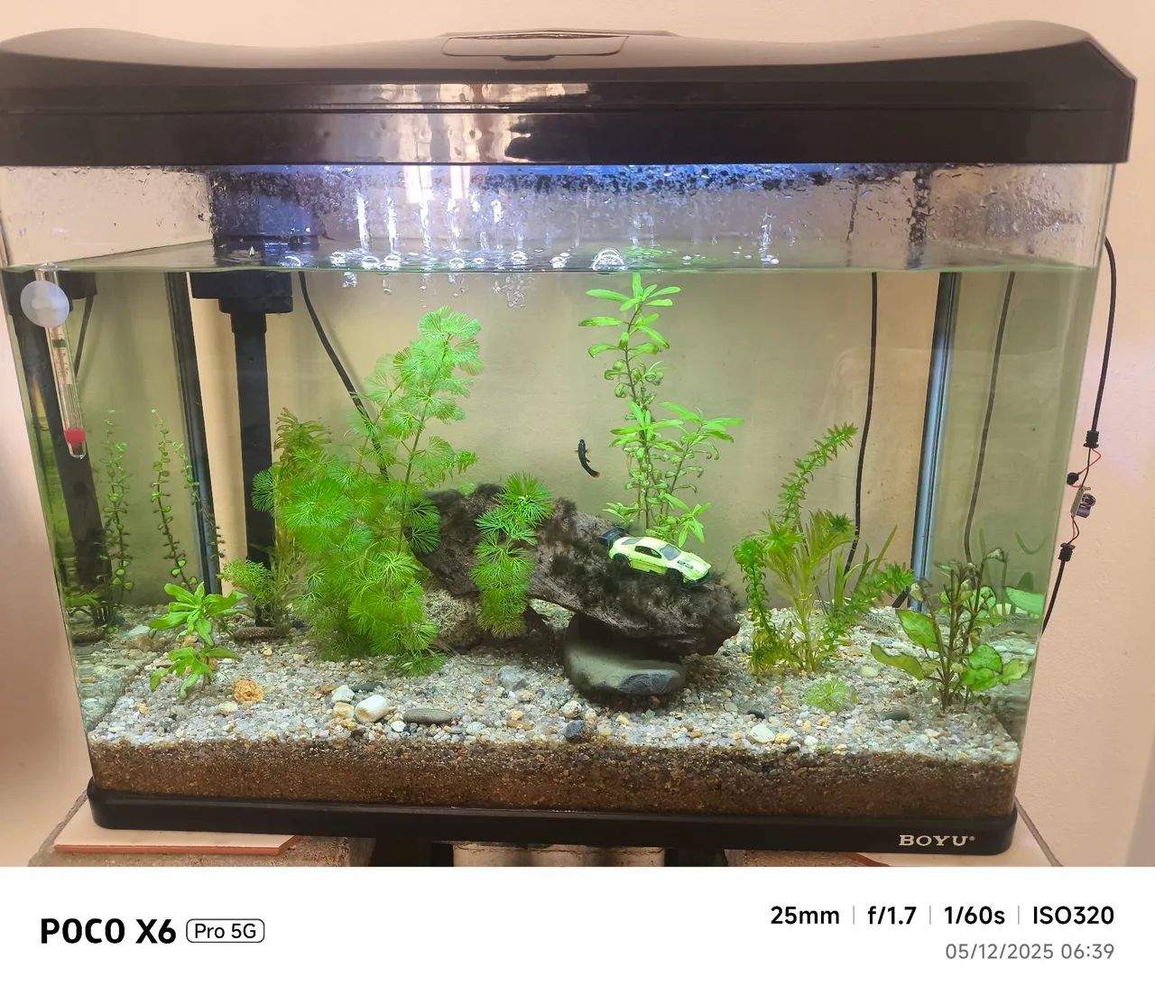Aquário 60l boyu vidro curvo