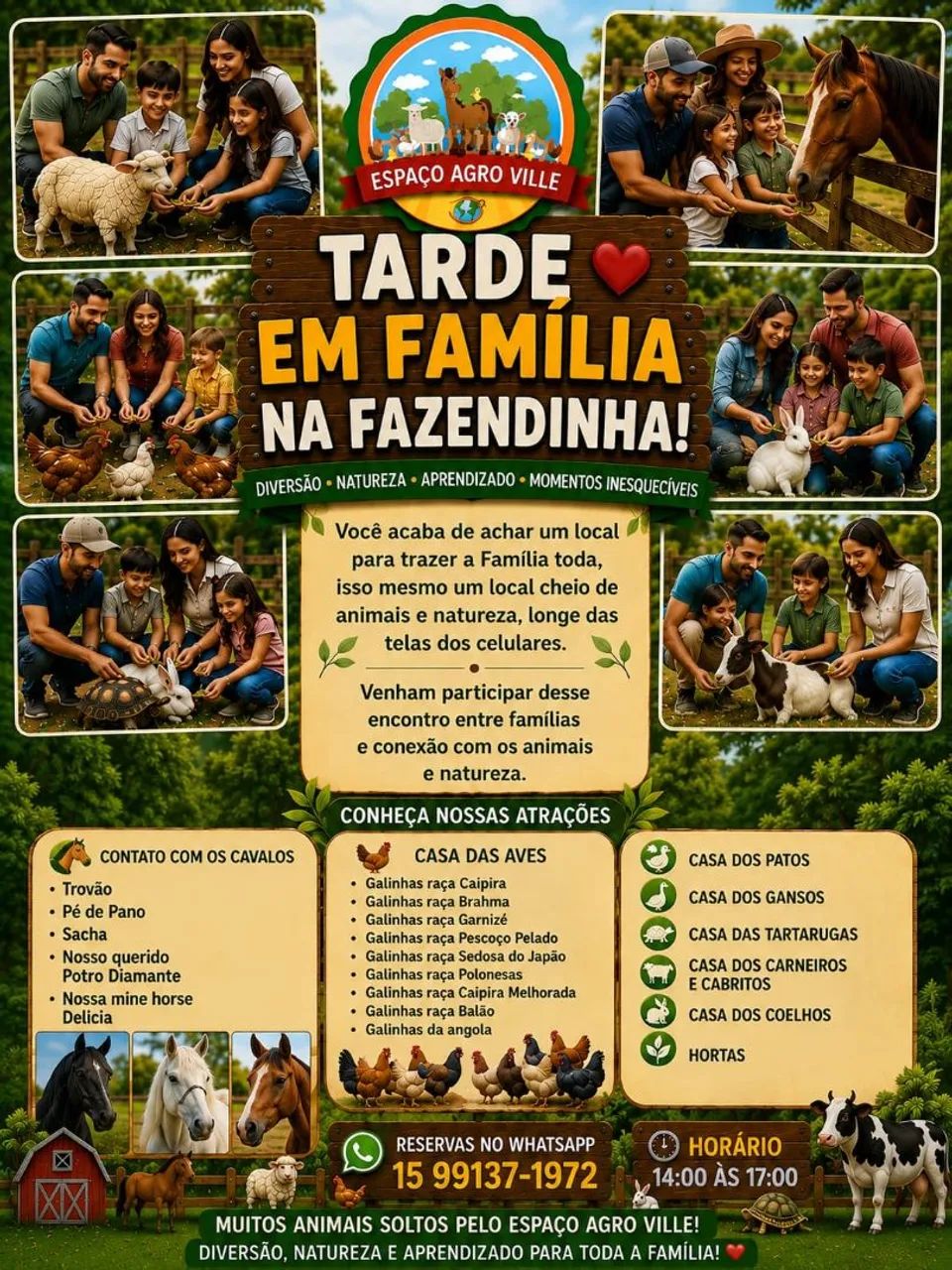 Modalidades para diversão e aprendizado e modalidades terapêuticas  - Foto 2