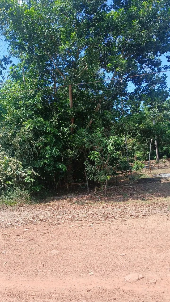 Financiado ,imobiliária  - Foto 2