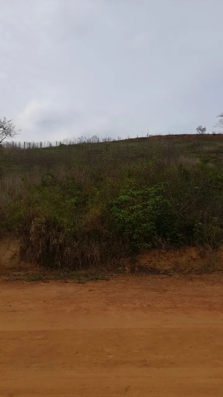 Roçagem e Limpeza de Terrenos, Lotes e Chácaras - Foto 3