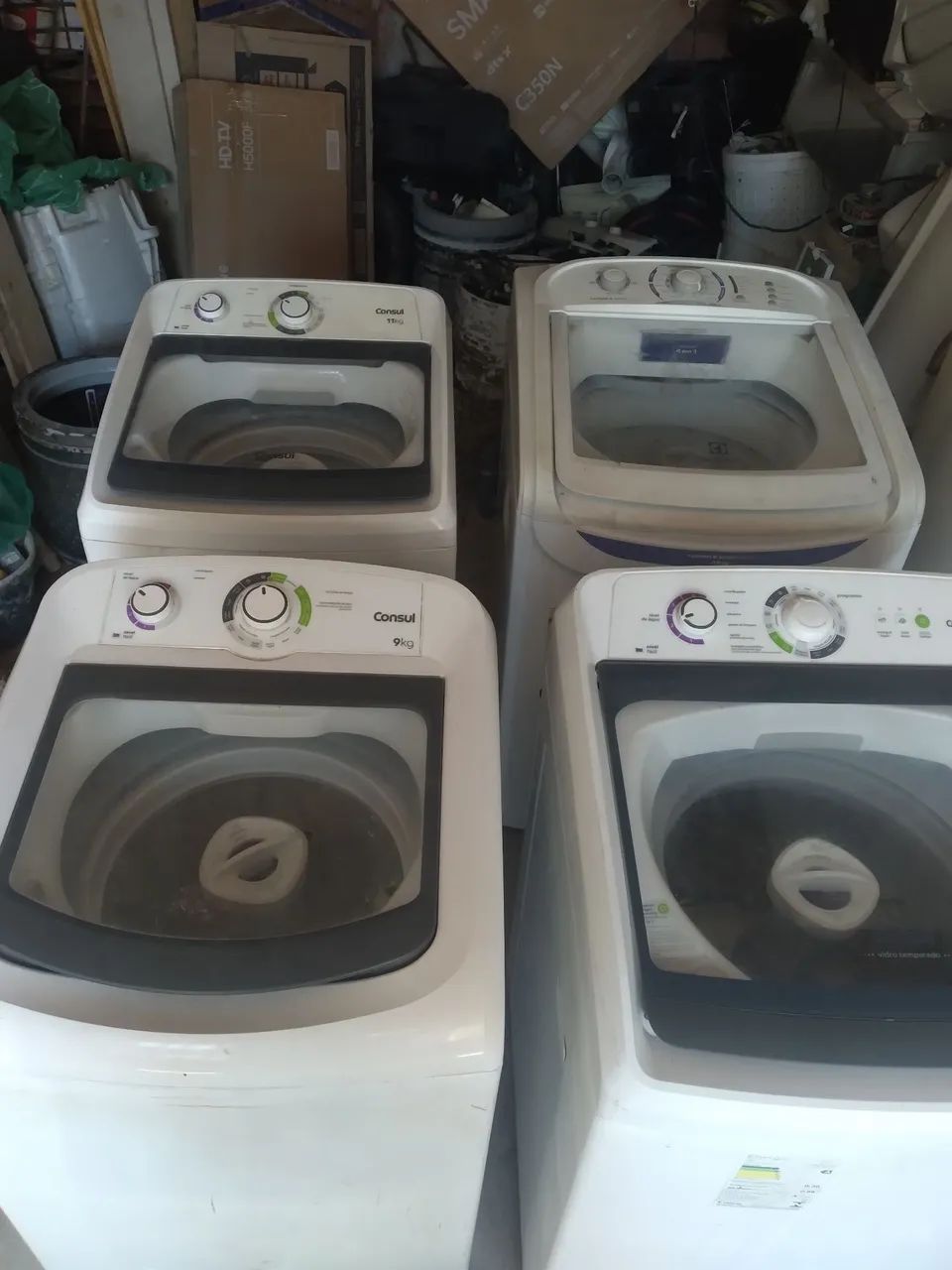 Domesticos - Foto 2