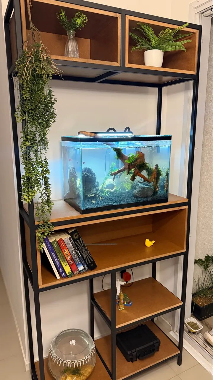 Aquário 50 cm