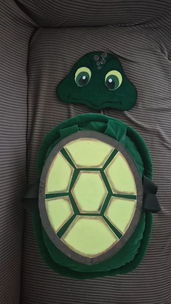 Fantasia de tartaruga 