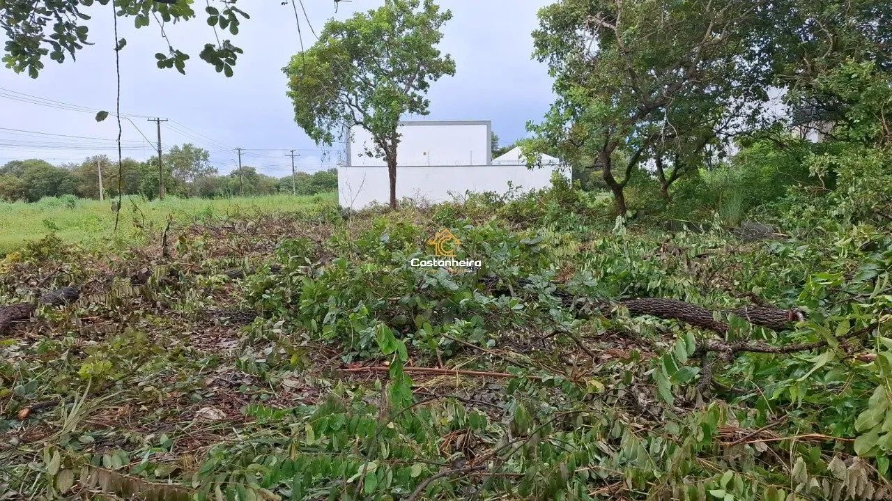 Lote - 660 m² - Plano Diretor Sul - Foto 3