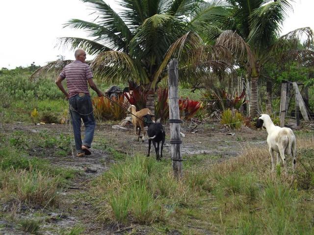 Terreno em Belmonte! 200.000m² Super Oportunidade! - Foto 10