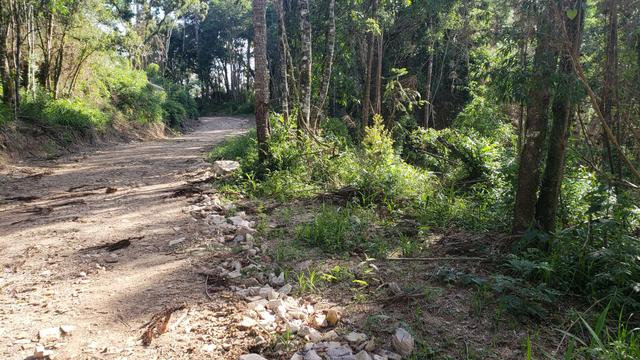 Chácara Agudos do Sul - 50 mts da Br c/ Tanque e rio - Foto 3