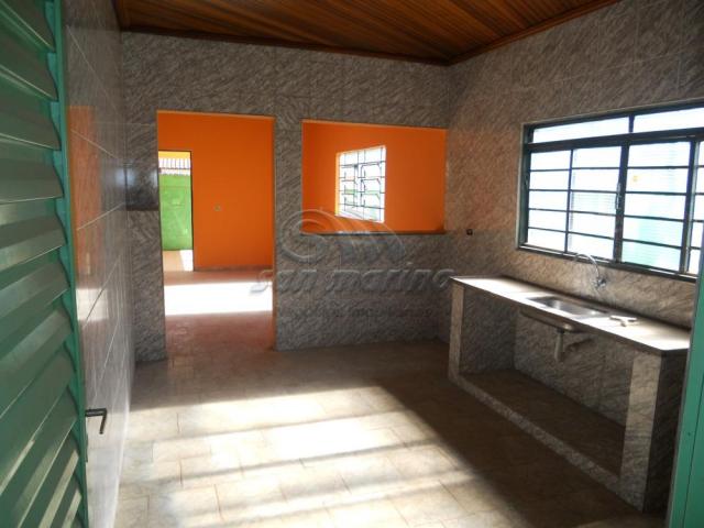 Casa para alugar com 2 dormitórios em Parque jaqueline, Jaboticabal cod:L4279 - Foto 7