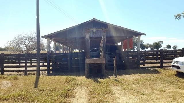 Fazenda 1485 ha Barra do Bugres MT - Foto 2