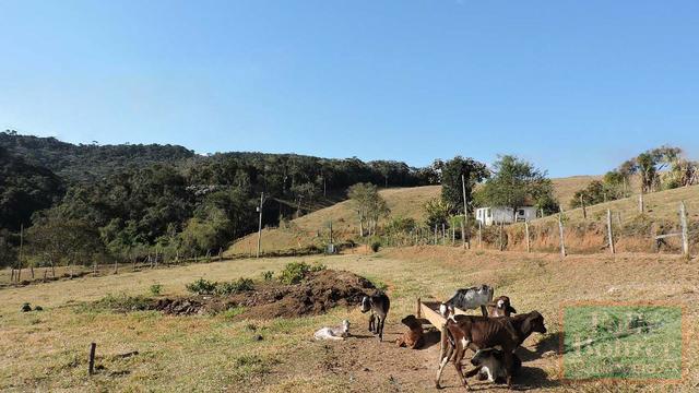 Fazenda com 588,71 hectares, situada na estrada Friburgo-Teresópolis, na altura de Vieira - Foto 18