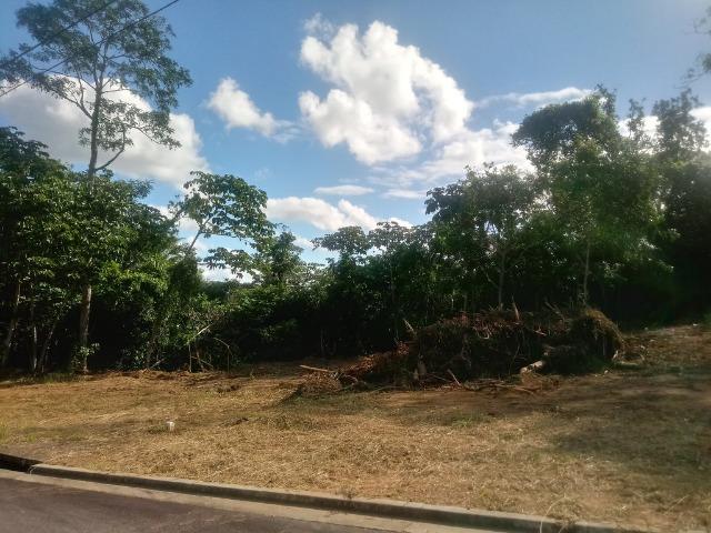 Residencial Naturaville - Lote L8 - Foto 17