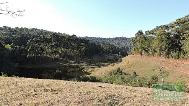 Fazenda com 588,71 hectares, situada na estrada Friburgo-Teresópolis, na altura de Vieira - Foto 12