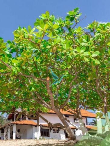 Casa na praia com 600 m² itapipoca/ce - Foto 15