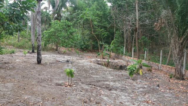 Terreno excelente - Foto 7