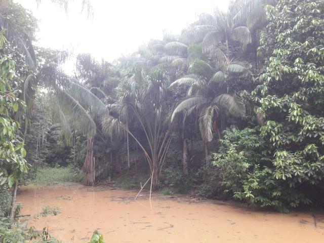 Venda de terreno - Foto 3
