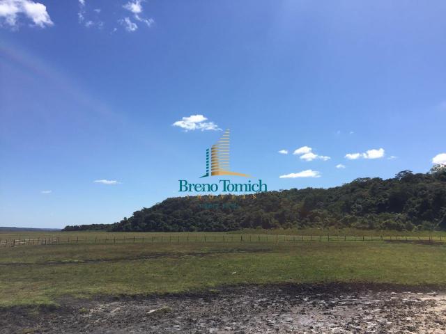 Fazenda à venda, 12100000 m² por r$ 37.000.000 - trancoso - porto seguro/bahia - Foto 5