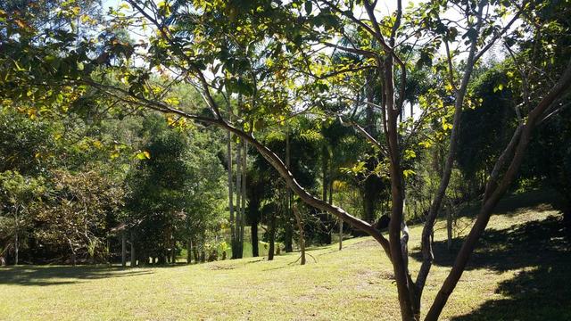 Sítio a 100 km de São Paulo - Foto 14