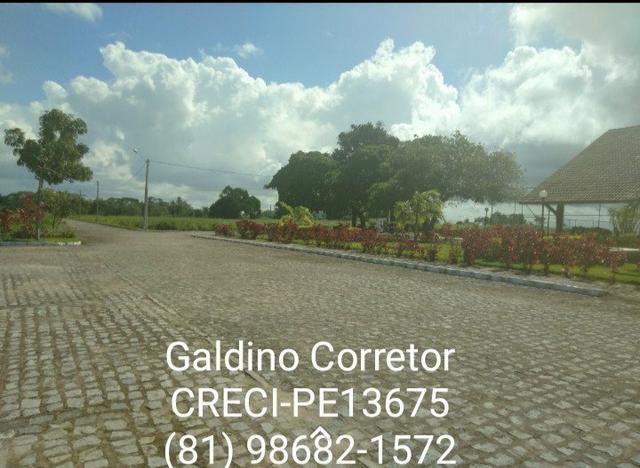 Terrenos em condomínio em limoeiro - Foto 16