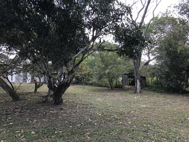 Aluga-se granja em aldeia km 9,5 - Foto 3