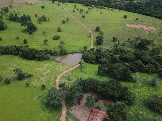 Fazenda em Bela Vista de Goiás de 15 Alqueires, à 45 km de Goiânia Dentro da Cidade - Foto 4