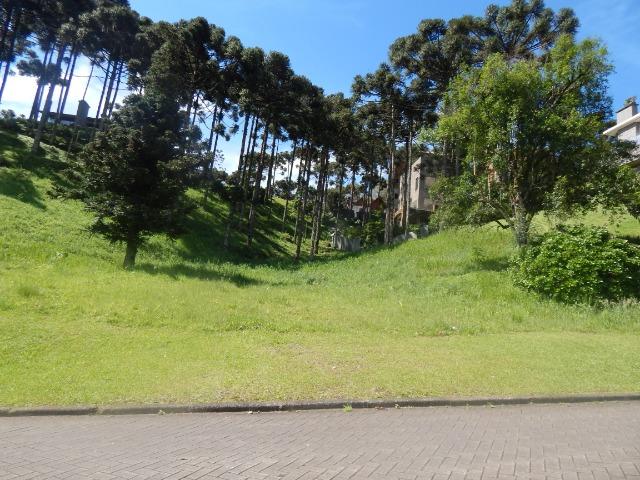 Terreno em Mega Empreendimento de Gramado