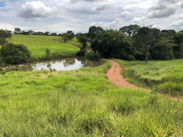 Fazenda em Bela Vista de Goiás de 15 Alqueires, à 45 km de Goiânia Dentro da Cidade - Foto 17