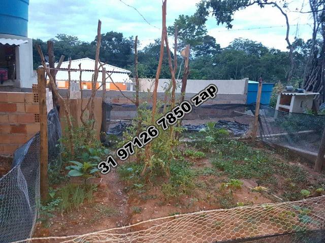 Urgente-Sítio Barato c/ Piscina-Casa Colonial Branca-3 qts-Pomar-Toda Murada-TOP - Foto 15