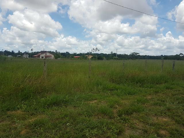Vendo Chácara - Foto 4
