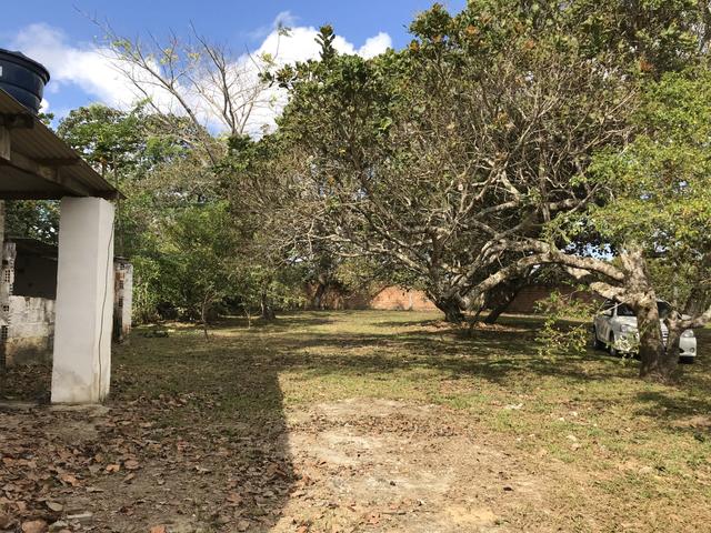 Aluga-se granja em aldeia km 9,5 - Foto 7