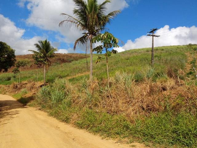 Fazenda Pronta Para Agricultura, ou etc, em Cortes-PE - Foto 14